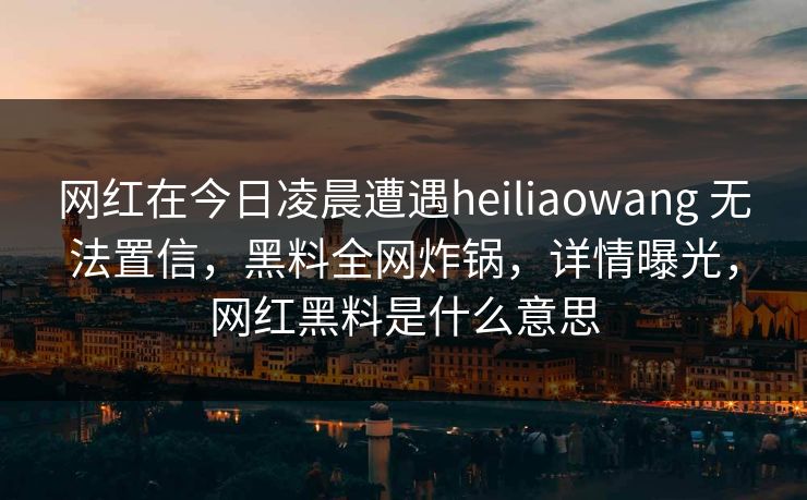 网红在今日凌晨遭遇heiliaowang 无法置信，黑料全网炸锅，详情曝光，网红黑料是什么意思