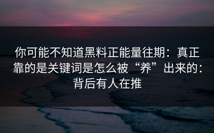你可能不知道黑料正能量往期:真正靠的是关键词是怎么被“养”出来的:背后有人在推 你可能不知道黑料正能量往期:真正靠的是关键词是怎么被“养”出来的:背后有人在推